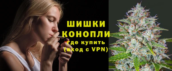 амф Калининец