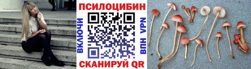 Псилоцибиновые грибы MAGIC MUSHROOMS как найти закладки Комсомольск-на-Амуре