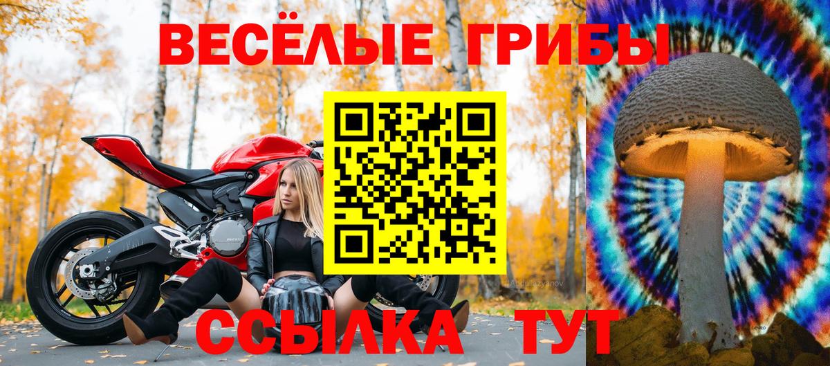 Галлюциногенные грибы прущие грибы Комсомольск-на-Амуре